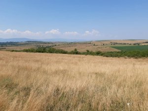 Teren agricol de vanzare in Sibiu zona Centrului de echitatie Zorabia - imagine 4