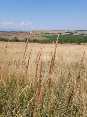 Teren agricol de vanzare in Sibiu zona Centrului de echitatie Zorabia - imagine 3