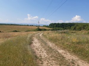 Teren 5000 mp de vanzare in satul Rusciori la 8 km de Sibiu - imagine 4