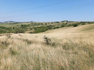 Teren agricol de vanzare in Sibiu zona Centrului de echitatie Zorabia - imagine 2