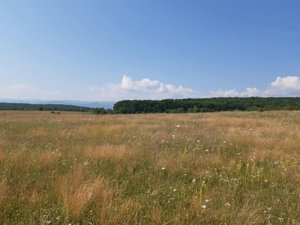 Teren 5000 mp de vanzare in satul Rusciori la 8 km de Sibiu - imagine 2