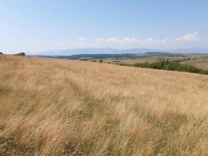 Teren agricol de vanzare in Sibiu zona Centrului de echitatie Zorabia