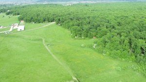 Teren de 5000 mp in Cisnadie, la doar 5 minute de Sibiu - imagine 6