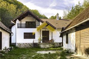 Casa cu padure de vanzare in Savarsini