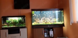 Acvariu Diversa 80 - imagine 2