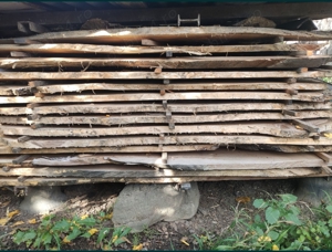 Vand cherestea de dud