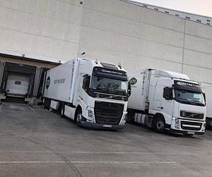 Se angajeaza Soferi Profesionisti INCEPATORI International - imagine 5