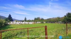 VLADESTI - LIVADA PRIMARIE, TEREN 626 MP - imagine 4