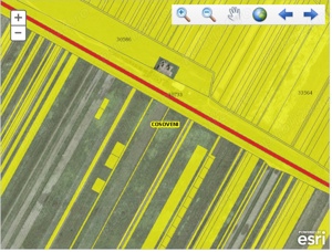 Vand(schimb) parcele individuale 475mp Cosoveni-Dolj