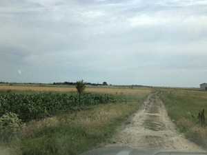 Vand(schimb) parcele individuale 475mp Cosoveni-Dolj - imagine 4