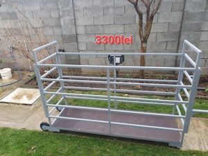 Cantar pentru animale