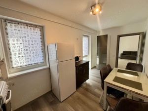 AA 1102 De închiriat apartament cu 1 cameră în Tg Mureș - Semicentral - imagine 4