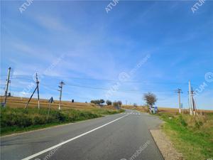 Teren pretabil investitie in Daia judet Sibiu - imagine 9