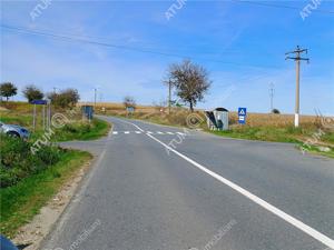 Teren pretabil investitie in Daia judet Sibiu - imagine 11