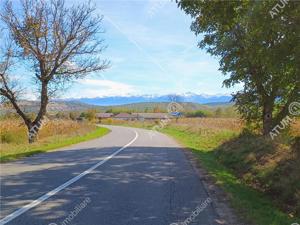 Teren pretabil investitie in Daia judet Sibiu - imagine 6