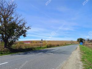 Teren pretabil investitie in Daia judet Sibiu - imagine 12