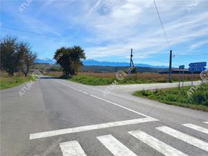 Teren pretabil investitie in Daia judet Sibiu - imagine 8