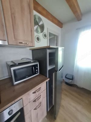 Apartament 1 camera Lunca Cetatuii