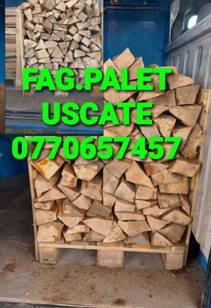 Vînd Lemne de foc Stejar Fag Paletat USCATE 