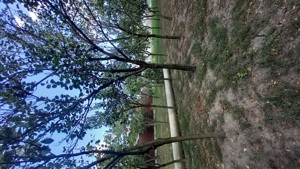 Țuica de prune 40 grade - imagine 3