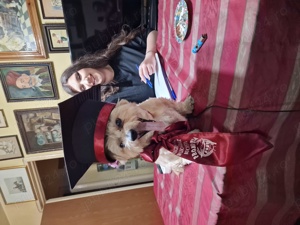 Meditatii matematica 