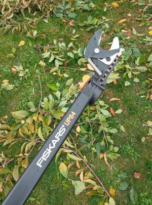 Toaletare arbori, arbuști plante oramentale - imagine 6