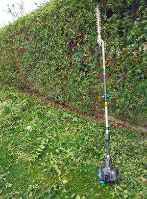 Toaletare arbori, arbuști plante oramentale - imagine 5