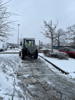 Deszapezire transport nisip pamant - imagine 2