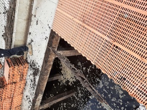 Boxe scroafe, gratare si placi azbociment - imagine 2