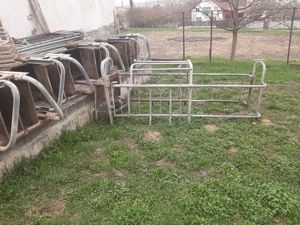 Boxe scroafe, gratare si placi azbociment - imagine 6