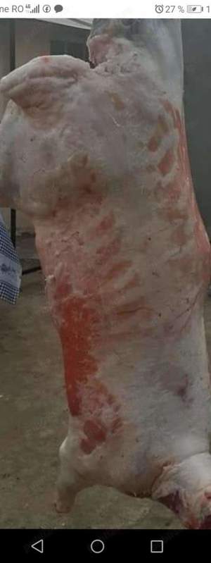 Vand pastrama din carne de oaie  - imagine 5