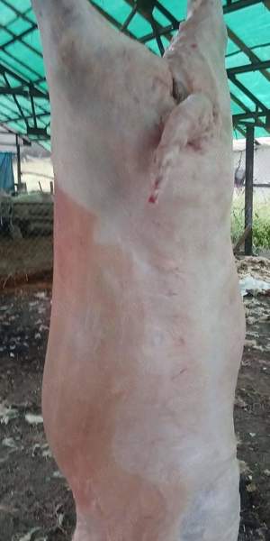 Vand pastrama din carne de oaie  - imagine 3