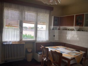 Apartament in asociatie cu grădina, garaj, zona Unirii - imagine 10