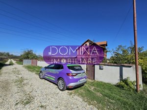 Vânzare proprietate situată în comuna Drăguțești, sat Cârbești  - imagine 10