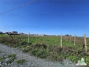TEREN 500 MP COSTINESTI ZONA CASA BARINA - imagine 4