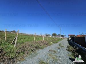 TEREN 500 MP COSTINESTI ZONA CASA BARINA - imagine 2