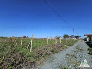 TEREN 500 MP COSTINESTI ZONA CASA BARINA - imagine 5