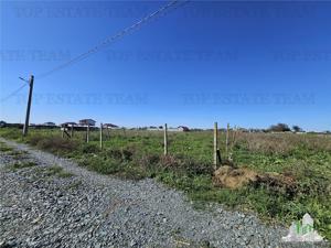 TEREN 500 MP COSTINESTI ZONA CASA BARINA - imagine 3