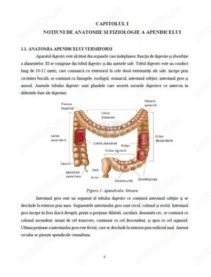Îngrijirea pacientului cu Apendicită - imagine 2