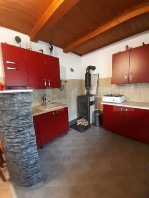 Cabana de lemn, 7 camere - afacere la cheie, Holbav - Brasov - imagine 4