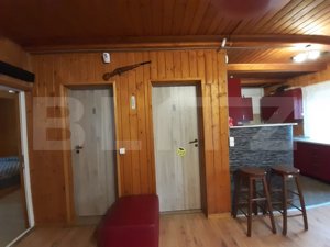 Cabana de lemn, 7 camere - afacere la cheie, Holbav - Brasov - imagine 9