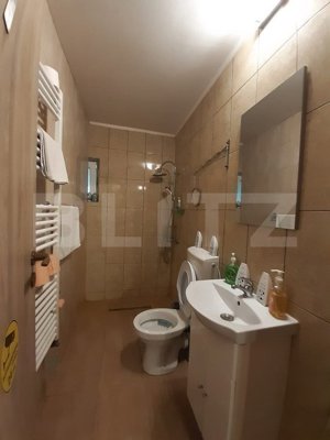 Cabana de lemn, 7 camere - afacere la cheie, Holbav - Brasov - imagine 7