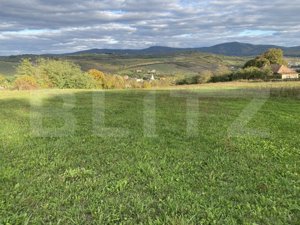 Teren intravilan in localitatea Aghires in suprafata de 2700 mp - imagine 3