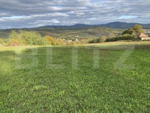 Teren intravilan in localitatea Aghires in suprafata de 2700 mp - imagine 2