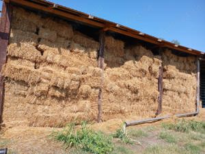 Baloti de paie de griu