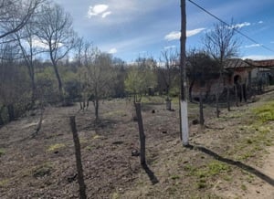 teren 2900 m , Comuna Salcuta, jud Dolj