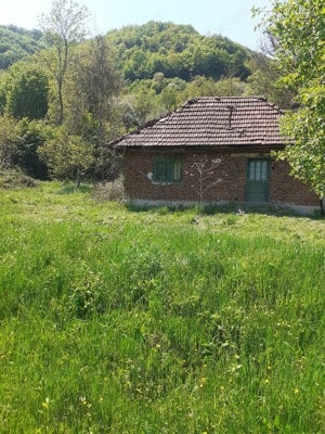 Casa de vanzare, terenuri si padure