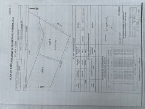 Vand teren intravilan,loc.livada,langa case,ptr.diverse constructii(8500+13744 mp) - imagine 16