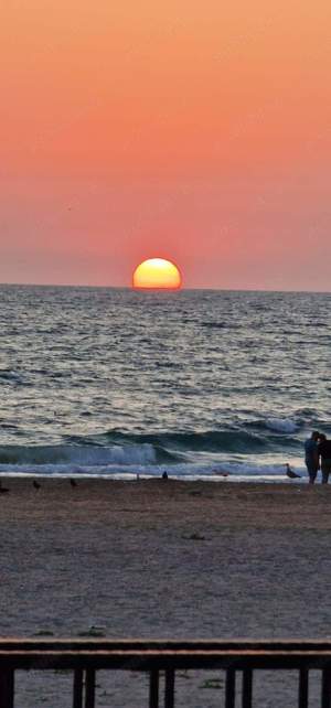 Persoana fizica, vand 2 apartamente in Mamaia Nord, nelocuite, Carte funciara! - imagine 5