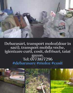Debarasare , transport moloz la sac.